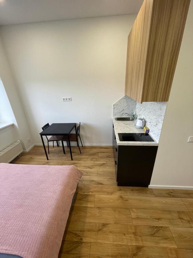 Airport Apartment 22 Self Check-In VNO Buitenkant foto